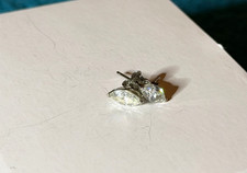 Warren James Earrings Silver