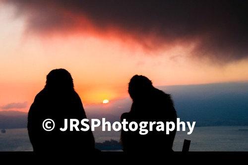 Travel documentary - travel,
