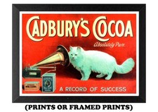Cadbury's Cocoa Vintage Advert