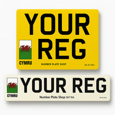 Welsh Flag 11 x 8 Square Rear