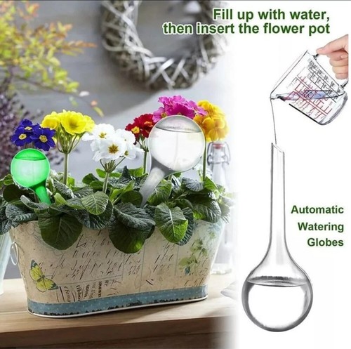 Plant self watering - 4x,