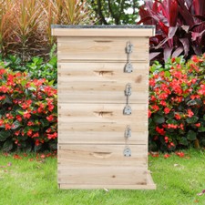 4 Tiers Langstroth Beekeeping