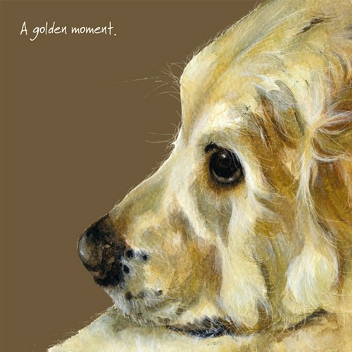 Golden retriever greeting card - greeting,