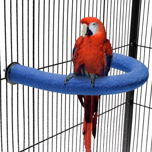 Parrot perch bird shape - perch,