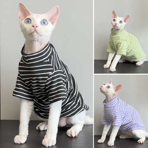 Hairless cat clothes stripe - hairless,