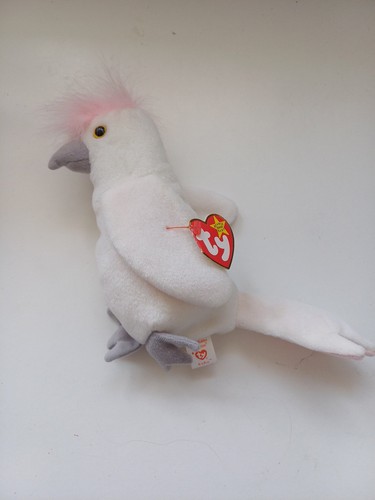 Kuku the cockatoo bird - kuku,