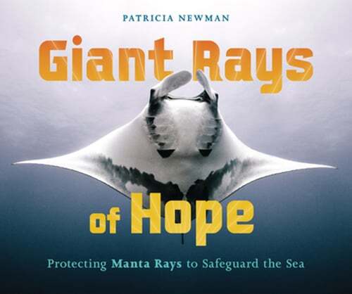 Giant rays hope protecting - giant, hope: