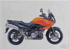 A4 Metal Sign Limited Edition Kawasaki KLV1000 2004