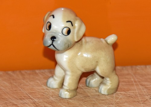 Wade pet bengo - wade, boxer