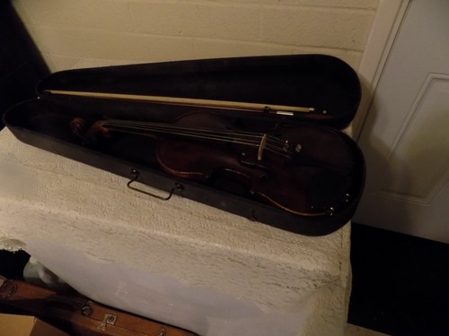 Antique violin jacabus stainer - violin,
