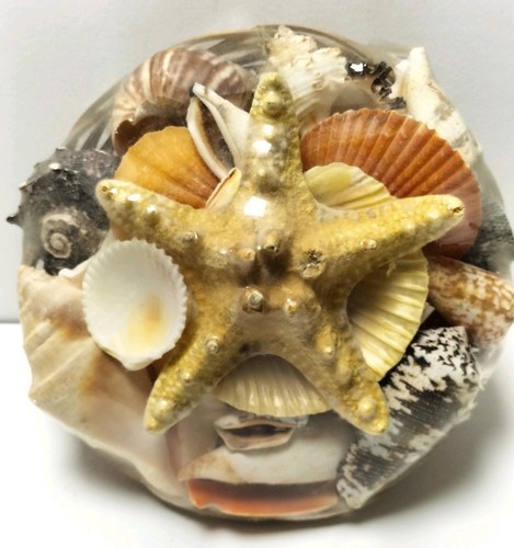 Vintage basket sea shells - basket,