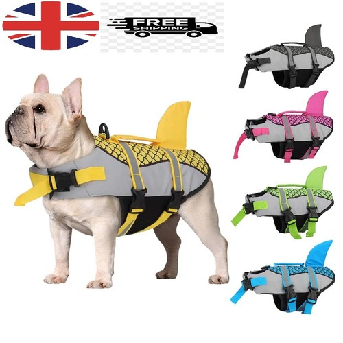 Dog life jacket safety - dog,