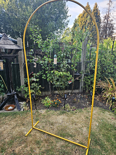 Gold metal arch - metal, backdrop