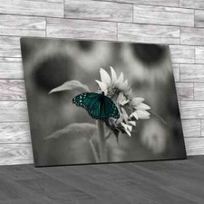 Butterfly On Flower Teal Canvas Print Large Picture Wall Art
