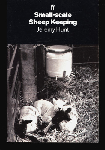 Jeremy hunt small scale sheep - jeremy,