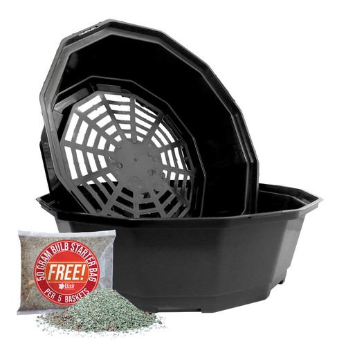 Black bulb planting baskets - baskets, |