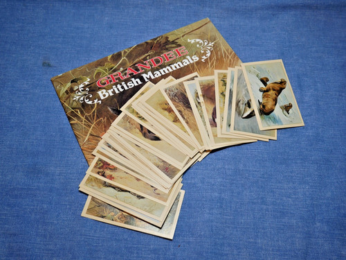 Cigarette cigar cards - cigarette/cigar,