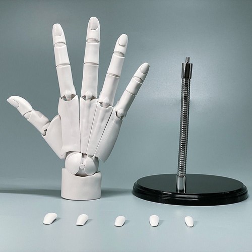 Flexible hand model mannequin - hand,