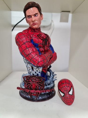 Spider man toby - man,