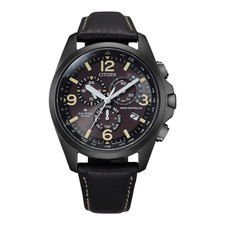 NEW CITIZEN ECO DRIVE RADIO