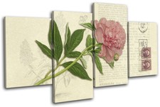 Pink Flower Vintage Shabby