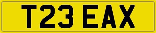 Tree surgeon axe number plate - tree,