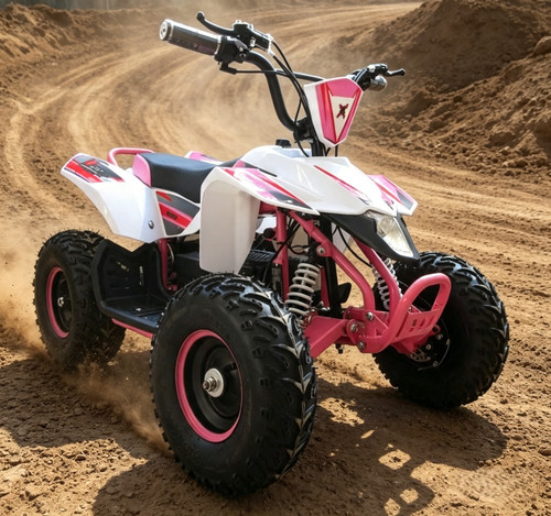 Beast motorsport 36v - x,