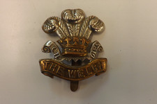 MILITARY CAP BADGE THE WELCH REGIMENT 4.5CMS BY 4CMS (197)