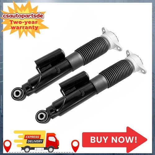 Rear shock absorbers - shock,