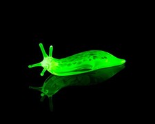 Uranium Glass Slug Figurine