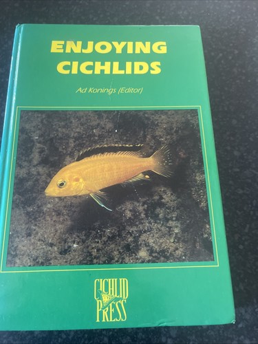 Konings cichlids ad - ad,