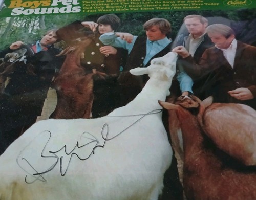 Brian wilson signed pet - brian,