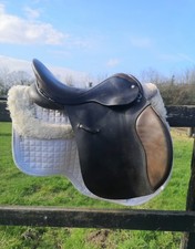 Batchelor of Epping GP Saddle