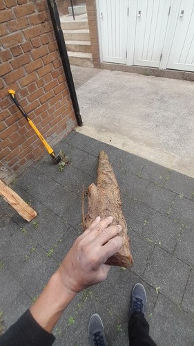 Welsh yew stave 80 - welsh,
