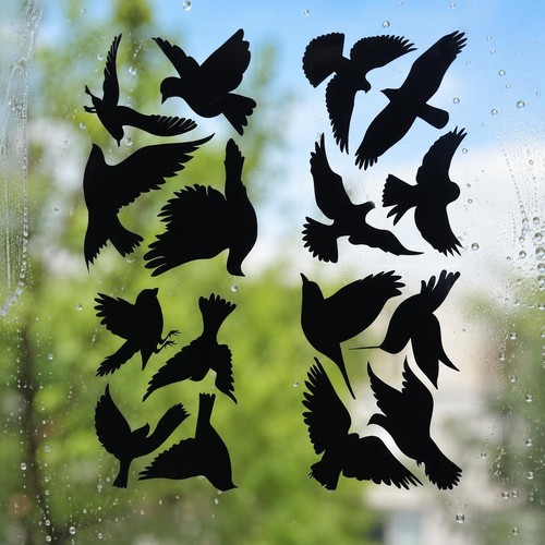 Anti collision glass window - anti-collision,