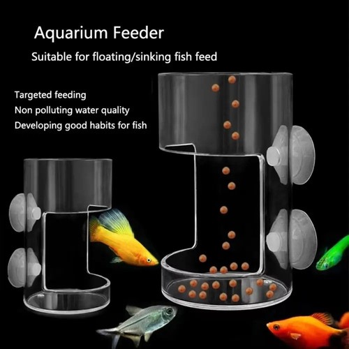 Aquarium feeding ring fish - aquarium,