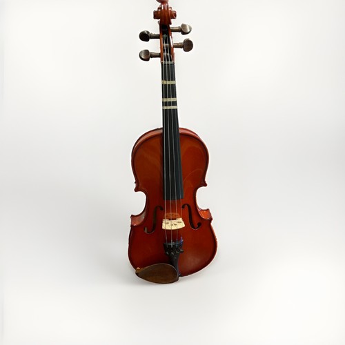Stentor student 2 - 1/2, size