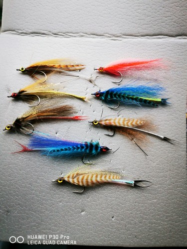 Saltwater flies 1 0 - ,