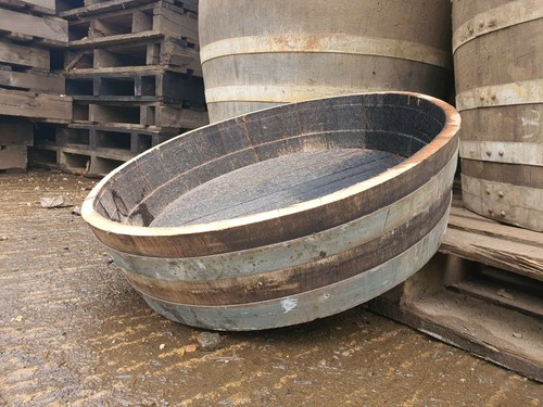 Small 25cm tall oak - small,