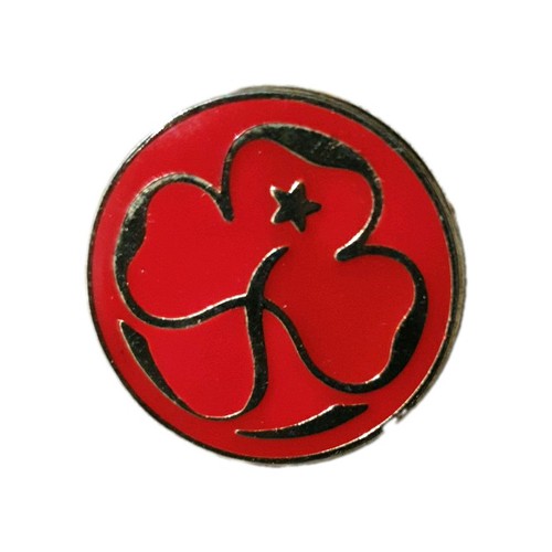 Vintage girl guide - girl,