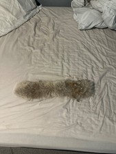 Canada goose coyote fur