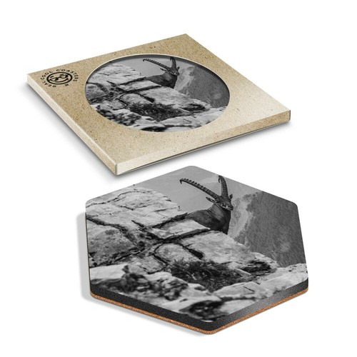 Hexagon coaster bw - coaster,