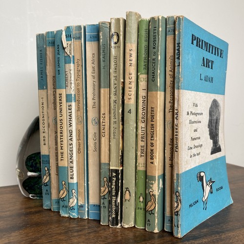 Vintage pelican penguin blue - penguin,