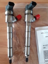 Pair of diesel injectors