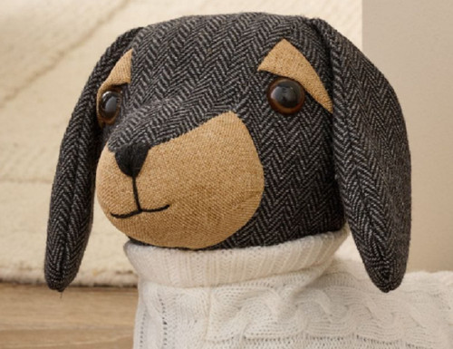Next dixie the - dachshund, door