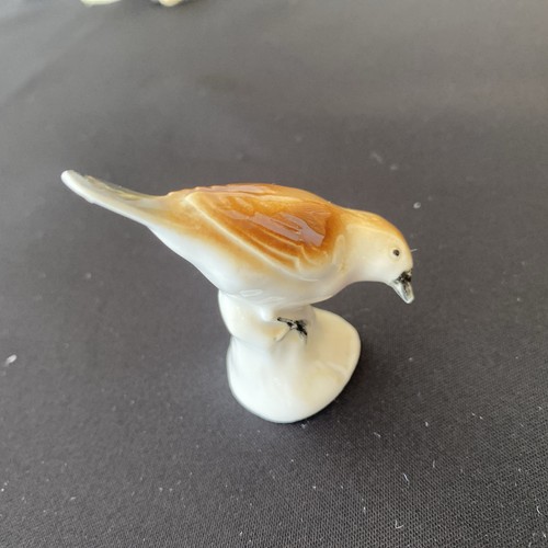 Porcelain bird 1950 - c, 1950’s