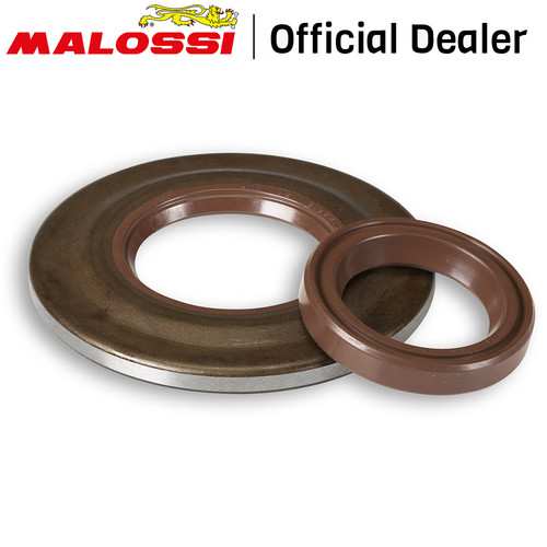 Oil seal kit - engine, shaft