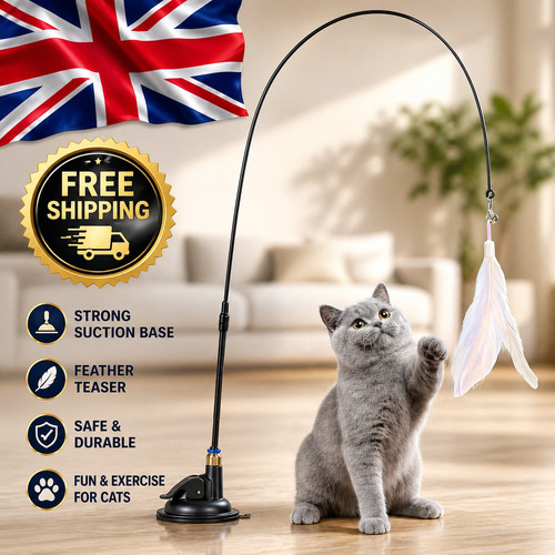 Cat kitten toy feather - toy,