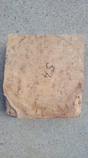 Timber Scottish Burr Elm Blank