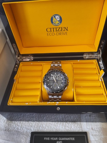 Citizen blue angels skyhawk - citizen,